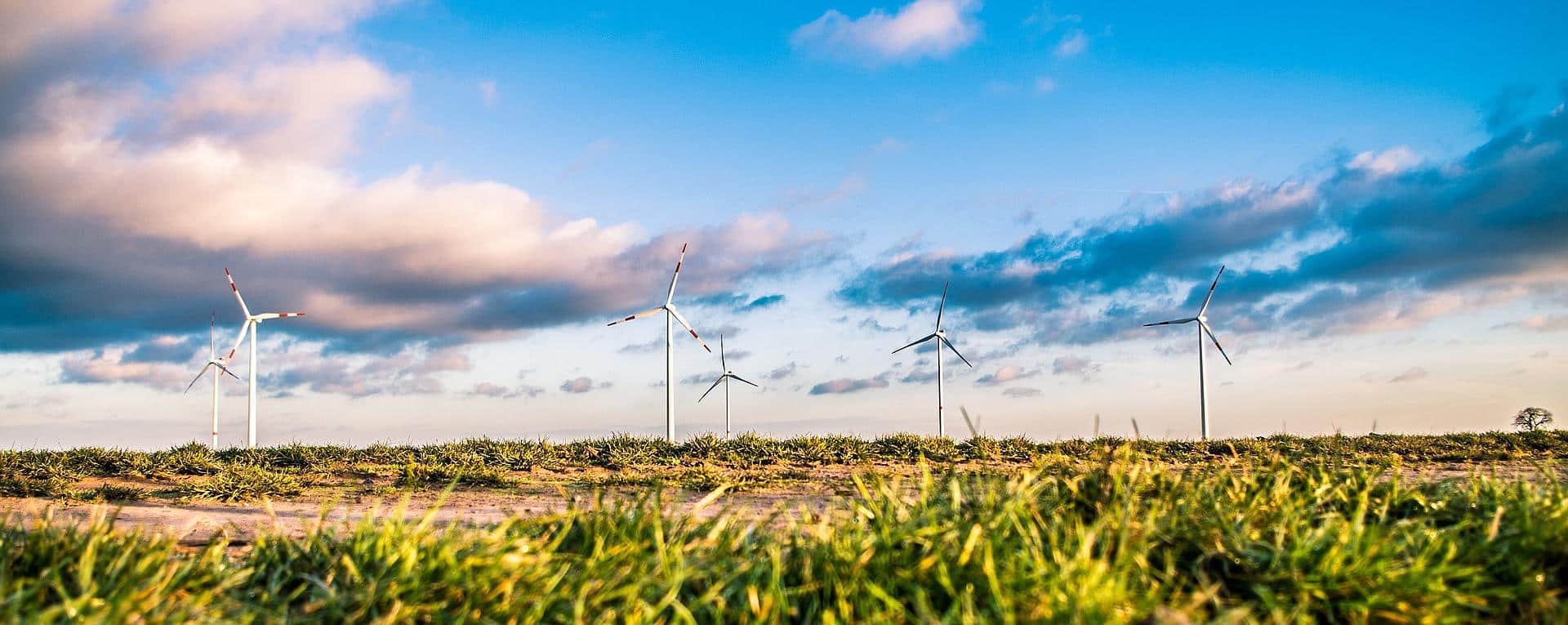 wind power